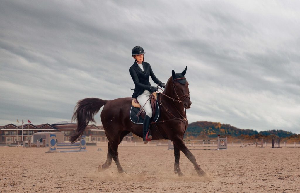 Ryttare i hjälm rider en mörkbrun häst i galopp på en sandbana